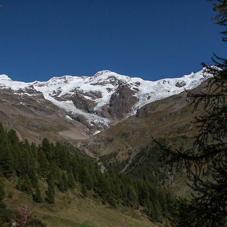 Hotel De Gletscher Gressoney-la-Trinité Εξωτερικό φωτογραφία